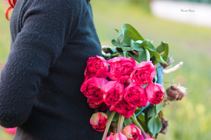 6B1184CD-3E24-4BCC-93F5-36EE3E233F3B