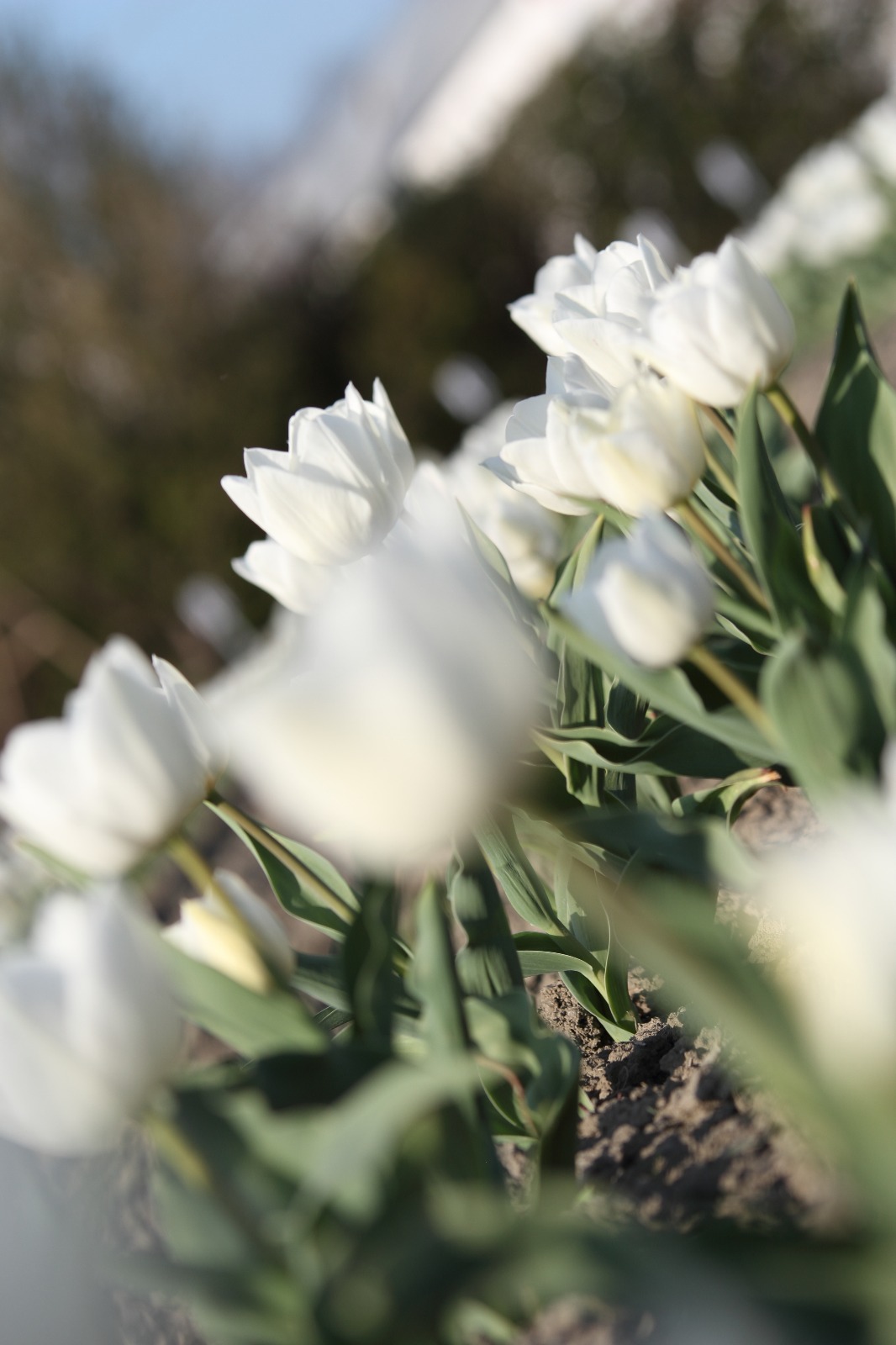 5C09BFBC-523D-4CE8-B65D-5D25A750F205